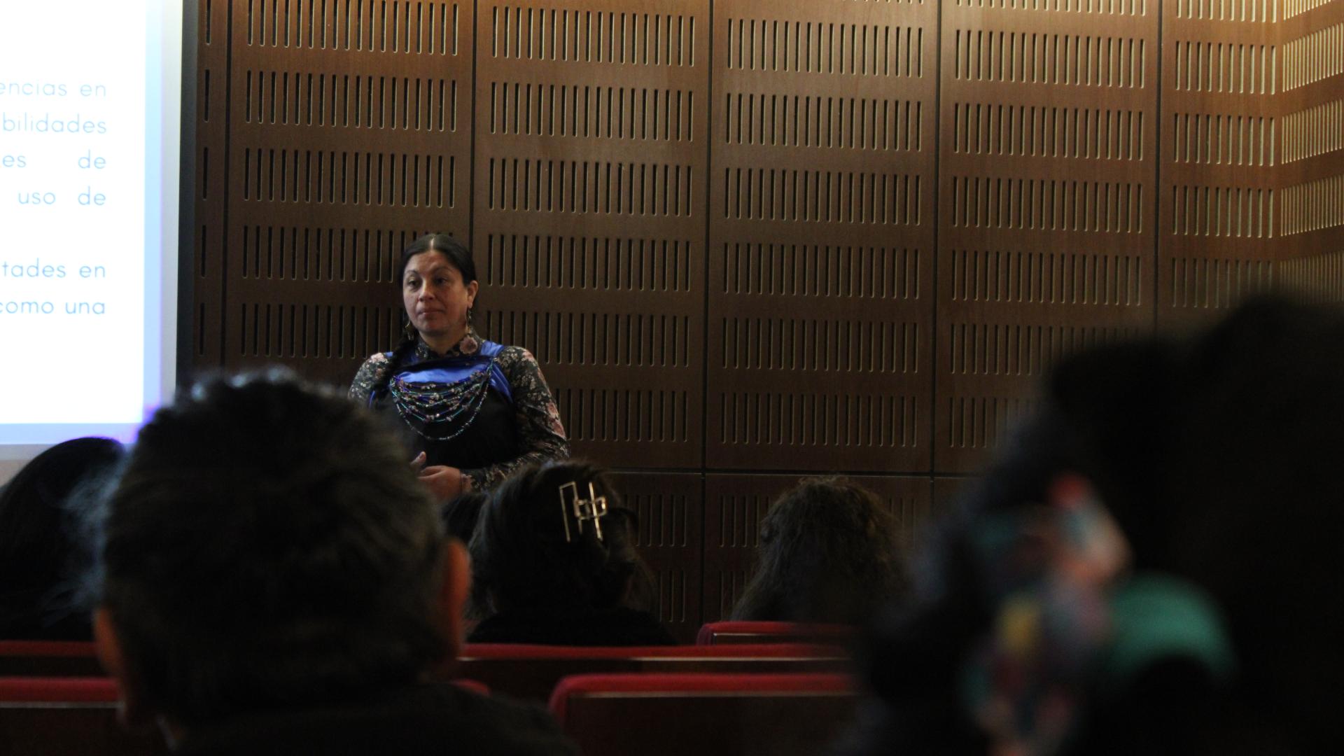 Capacitación artistas y educadores en la Región de La Araucanía