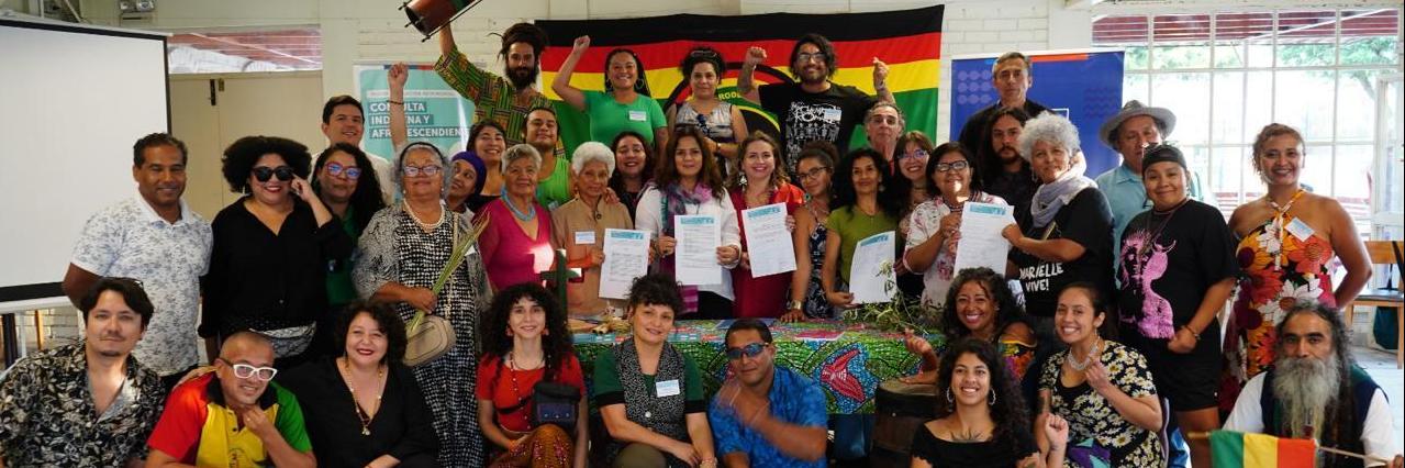Consulta Afrodescendiente