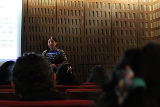 Capacitación artistas y educadores en la Región de La Araucanía