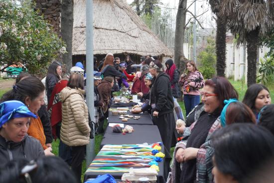 Día Internacional de las Mujeres Indígenas en el Maule