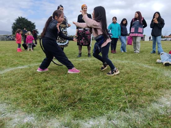 Jornada de juegos mapuche 2025