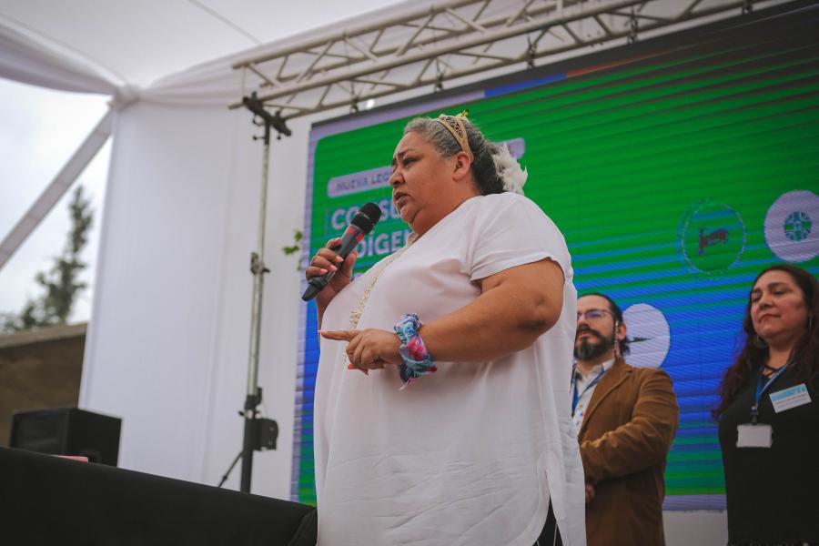 Diálogo nacional indígena