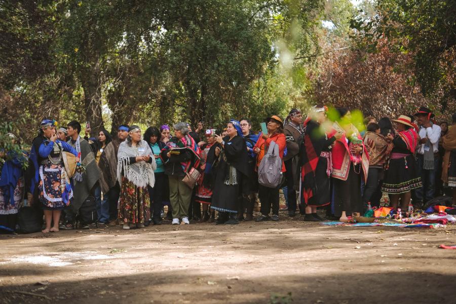 Diálogo nacional indígena