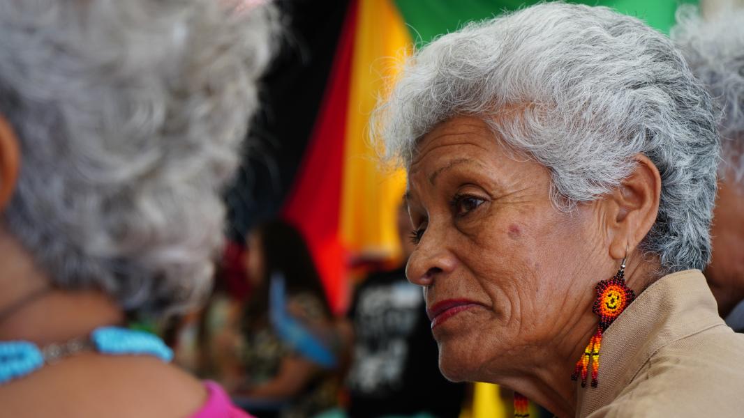 Diálogo acuerdos pueblo Tribal Afrodescendiente