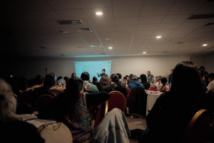 Diálogo nacional indígena